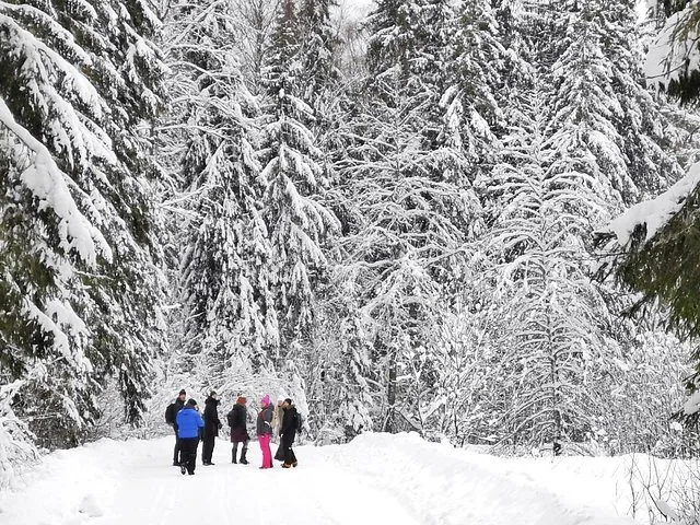 Groupe de personnes debout sur un sentier enneigé, entouré d'arbres couverts de neige.