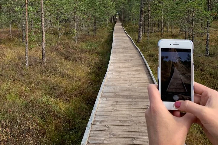 Person taking a photo of a wooden boardwalk leading into a forest.