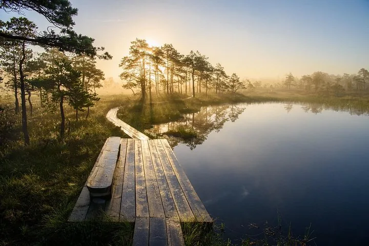 Schöner Sonnenaufgang über einem nebligen Moor mit Holzsteg.