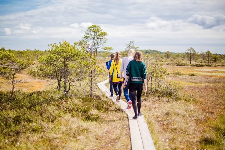 Gruppe von Menschen auf einem Holzsteg durch eine sumpfige Landschaft.
